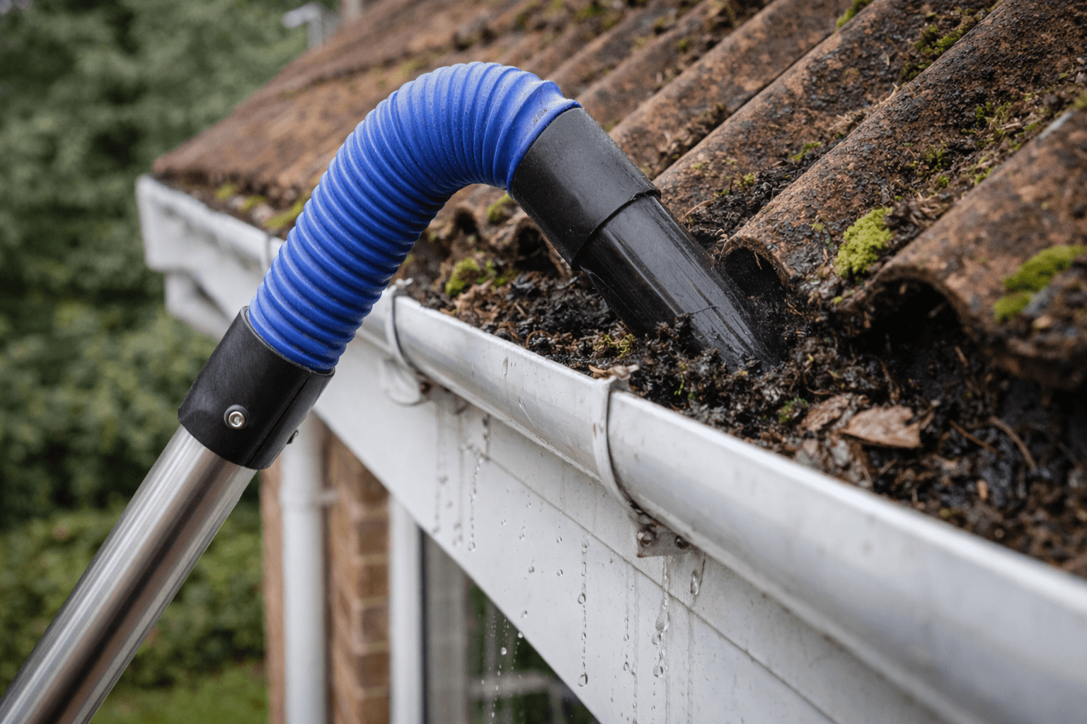 Tagrenderens baggrund